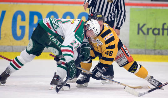 Mikael Johansson, Rögle och Fredrik Öberg, Skellefteå