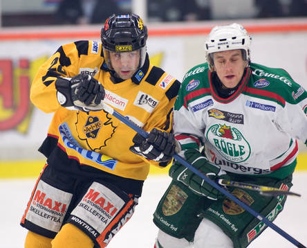Daniel Branda, Skellefteå och Mikael Johansson, Rögle