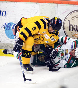 Magnus Wernblom, Skellefteå och Niklas Karmhag, Rögle