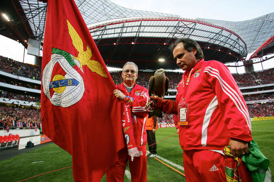 Örn, maskot, symbol, Benfica, stadion, arena