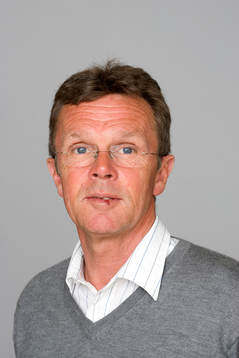 Anders Linderoth, Tränare, Hammarby