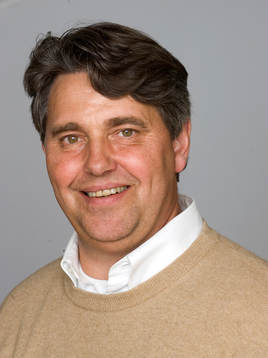 Thomas Wernerson, TV, media