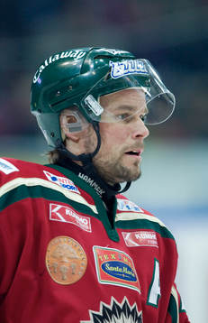 Ronnie Sundin, Frölunda