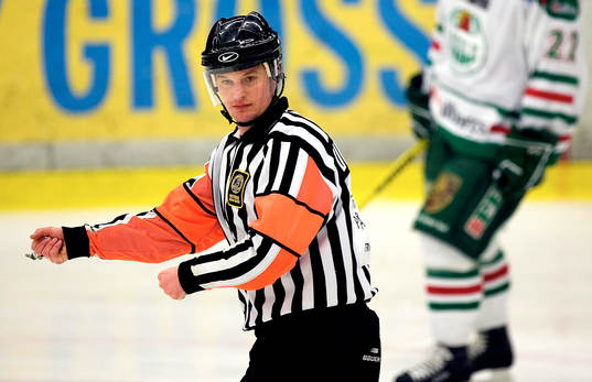 Marcus Vinnerborg, domare