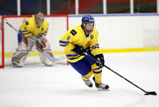 Mathias Sjöberg, Sverige