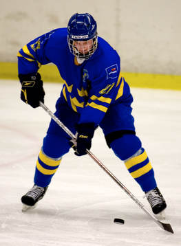 Niclas Andersen, Sverige