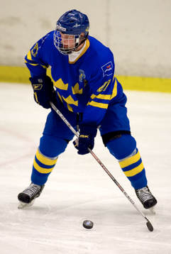 Niclas Andersen, Sverige
