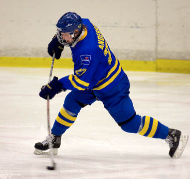 Niclas Andersen, Sverige