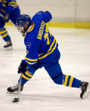 Niclas Andersen, Sverige