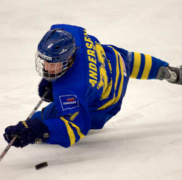 Niclas Andersen, Sverige
