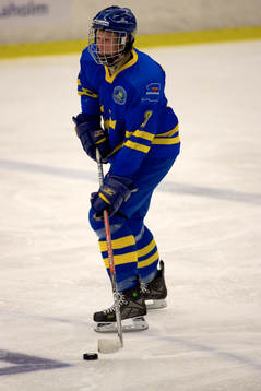 Dennis Persson, Sverige