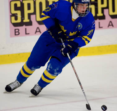 Niclas Andersen, Sverige