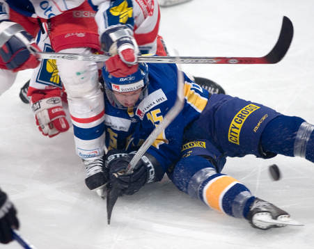 Rickard Wallin, Sverige