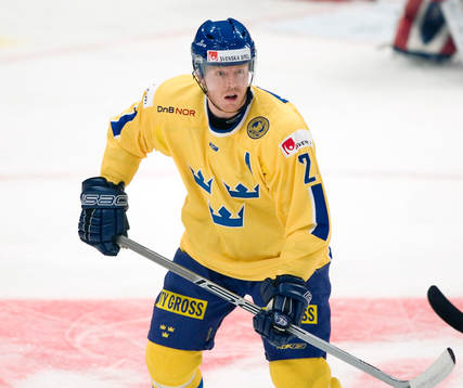 Andreas Karlsson, Sverige