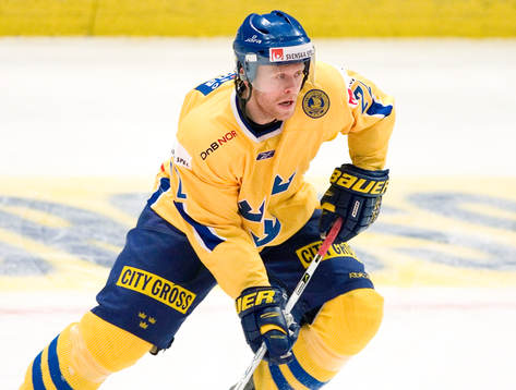 David Petrasek, Sverige