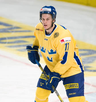 Stefan Pettersson, Sverige