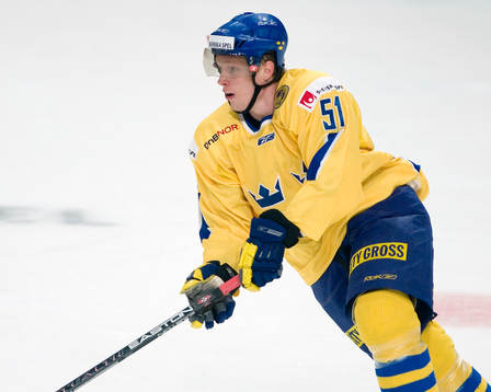 Mika Hannula, Sverige