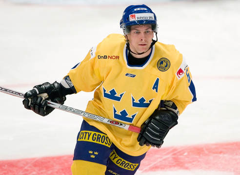 Magnus Johansson, Sverige