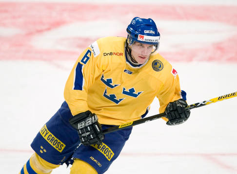 Magnus Johansson, Sverige