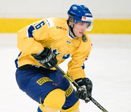 Magnus Johansson, Sverige