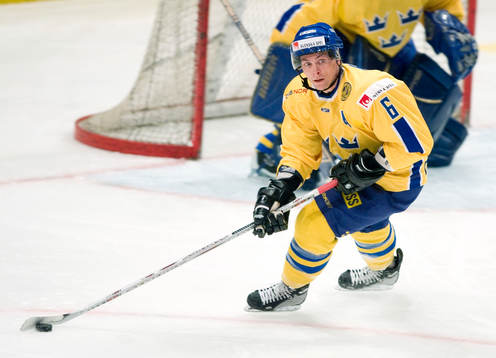 Magnus Johansson, Sverige