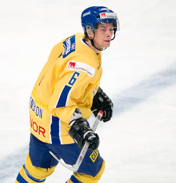 Magnus Johansson, Sverige