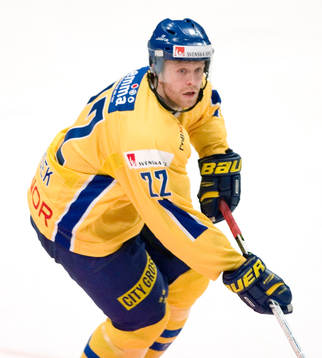 David Petrasek, Sverige