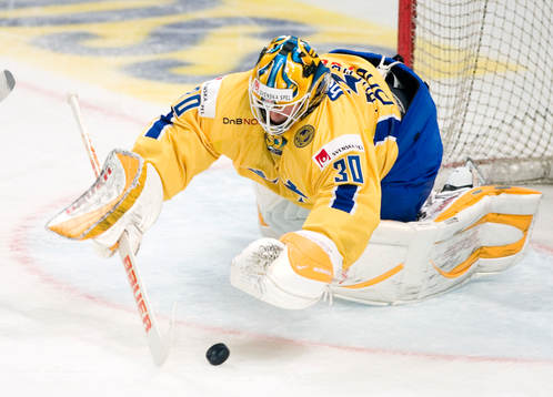 Johan Holmqvist, målvakt, Sverige