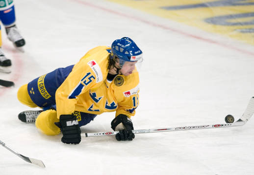 Rickard Wallin, Sverige