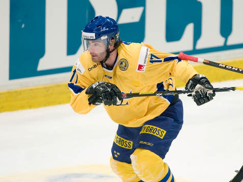 Mathias Johansson, Sverige