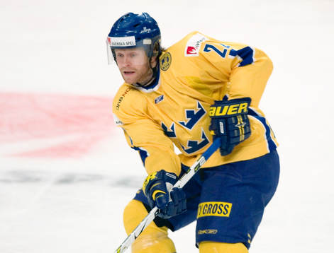 David Petrasek, Sverige