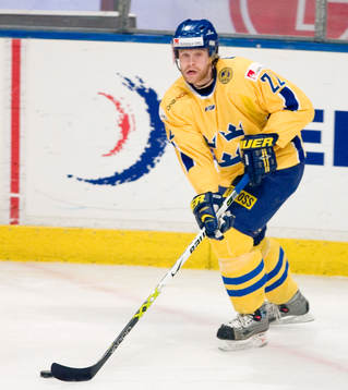 David Petrasek, Sverige