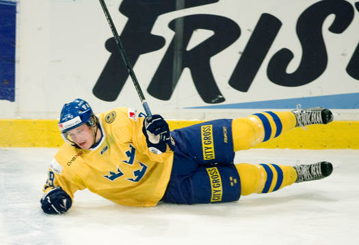 Fredrik Warg, Sverige