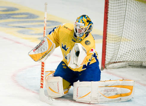 Johan Holmqvist, målvakt, Sverige