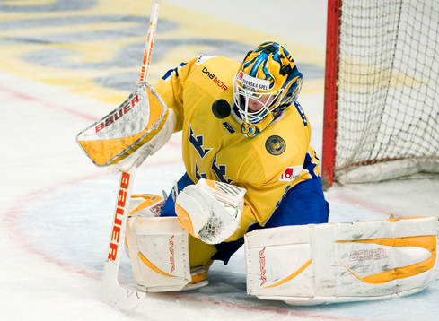 Johan Holmqvist, målvakt, Sverige