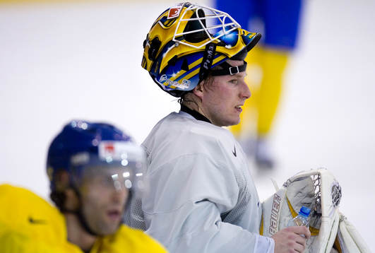 Johan Holmqvist, målvakt