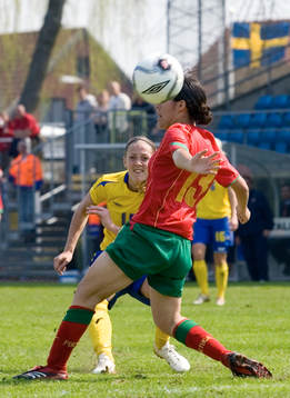 Therese Sjögran, Sverige
