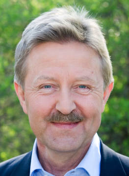 Staffan Lindeborg, kommentator