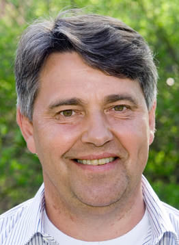 Thomas Wernerson, kommentator