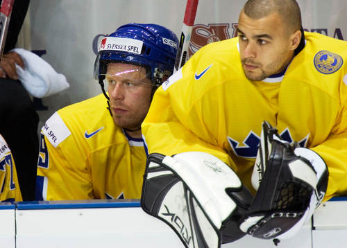 Johan Franzen, Sverige bänkad