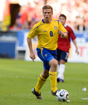 Anders Svensson, Sverige