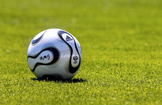 Officiell VM Boll, Adidas