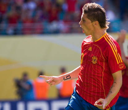 Fernando Torres, jubel
