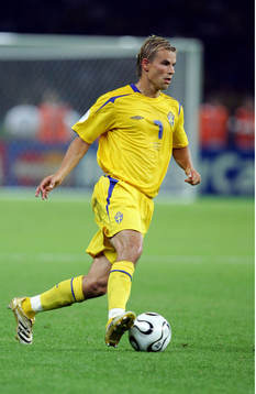 Niclas Alexandersson, Sverige