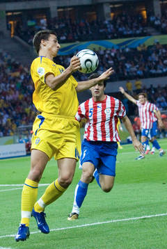 Zlatan Ibrahimovic, Sverige