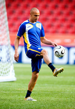 Henrik Larsson, Sverige