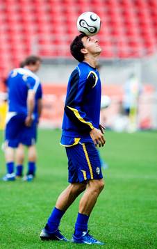 Zlatan Ibrahimovic, Sverige