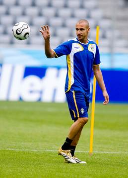 Henrik Larsson, Sverige