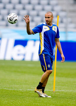 Henrik Larsson, Sverige