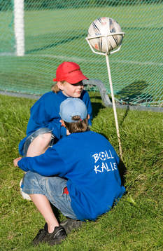 Bollkalle, bollkallar